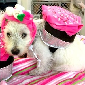 Halloween Cupcake Outfit